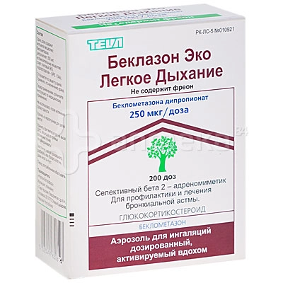 Беклазон ЭКО Аэрозоль в Казахстане, интернет-аптека Рокет Фарм