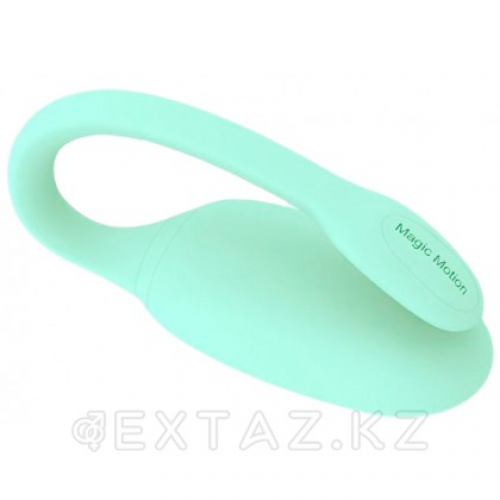 Тренажер Кегеля MAGIC KEGEL REJUVE  в Казахстане, интернет-аптека Aurma.kz
