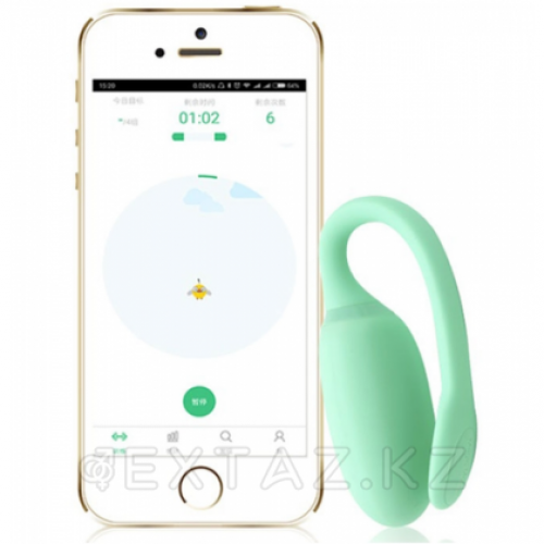 Тренажер Кегеля MAGIC KEGEL REJUVE  в Казахстане, интернет-аптека Aurma.kz