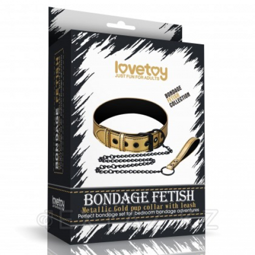 Ошейник с поводком Bondage Fetish Gold  в Казахстане, интернет-аптека Aurma.kz