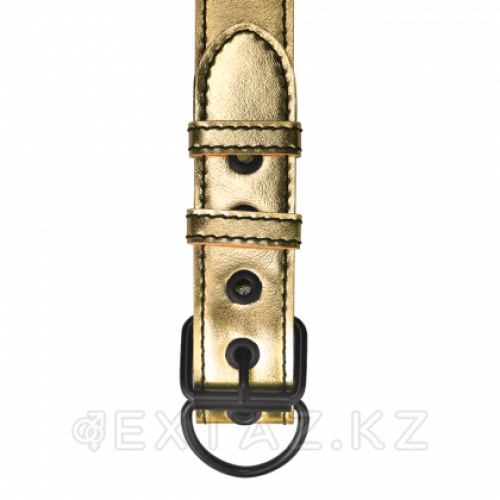Ошейник с поводком Bondage Fetish Gold  в Казахстане, интернет-аптека Aurma.kz