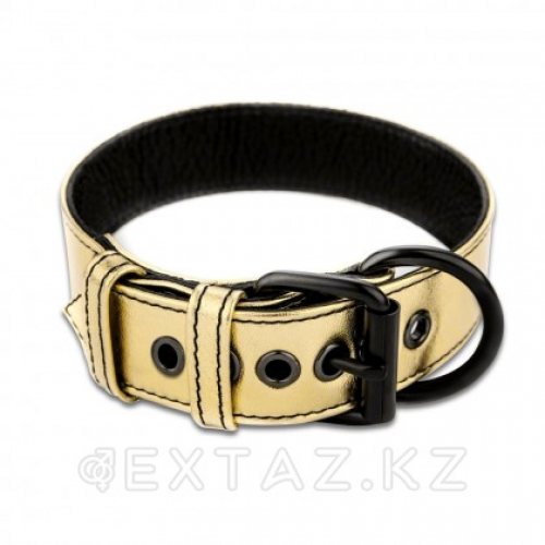 Ошейник с поводком Bondage Fetish Gold в Казахстане, интернет-аптека Aurma.kz