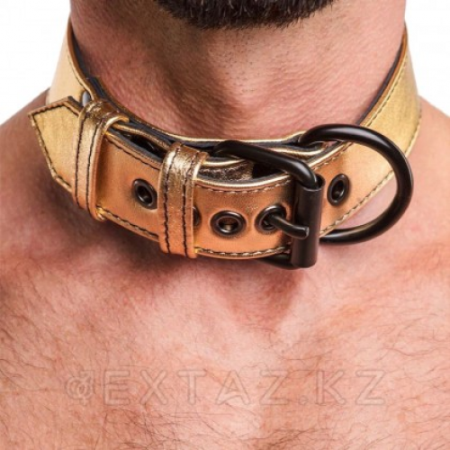 Ошейник с поводком Bondage Fetish Gold в Казахстане, интернет-аптека Aurma.kz