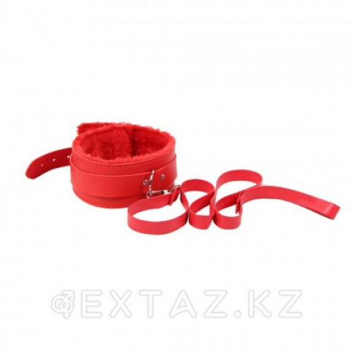 Фетиш набор SM Sexy Bondage Red  в Казахстане, интернет-аптека Aurma.kz