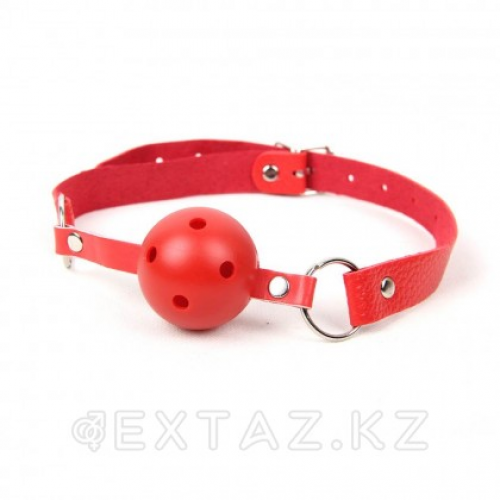 Кляп для рта Red SM Gag  в Казахстане, интернет-аптека Aurma.kz