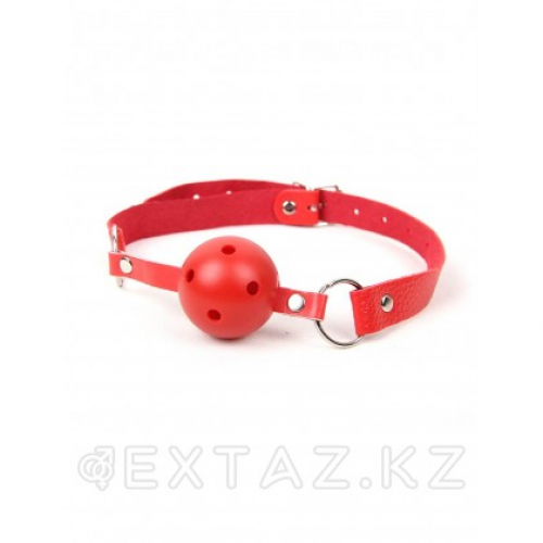Кляп для рта Red SM Gag в Казахстане, интернет-аптека Aurma.kz