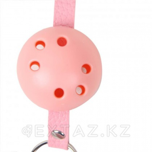 Кляп для рта Pink SM Gag  в Казахстане, интернет-аптека Aurma.kz