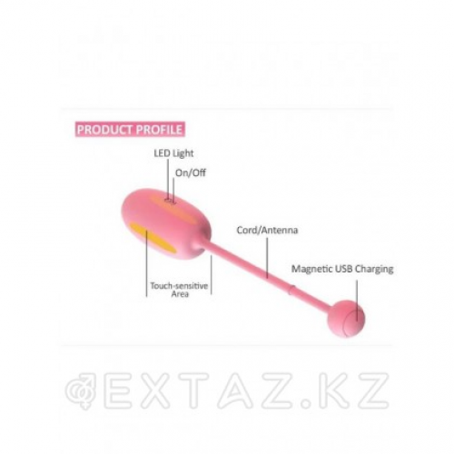 Тренажер Кегеля MAGIC KEGEL COACH в Казахстане, интернет-аптека Aurma.kz