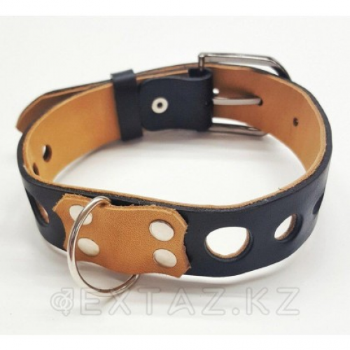 Ошейник Pit Bull 05 в Казахстане, интернет-аптека Aurma.kz