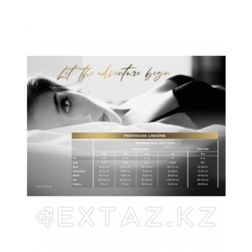 Боди "Perfect lover" черный от Penthouse (L/XL) в Казахстане, интернет-аптека Aurma.kz