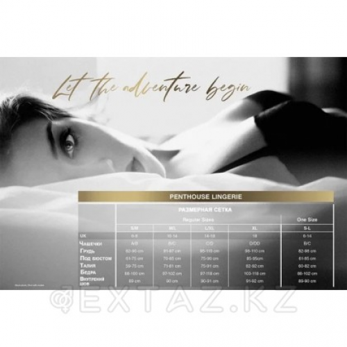 Боди "Perfect lover" черный от Penthouse (M/L) в Казахстане, интернет-аптека Aurma.kz