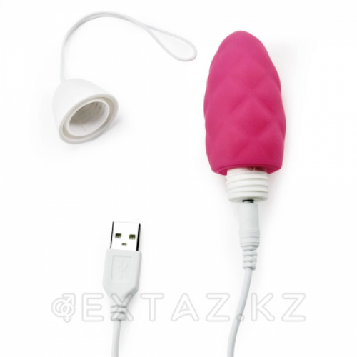 Виброяйцо с пультом ДУ IJOY от Lovetoy  в Казахстане, интернет-аптека Aurma.kz