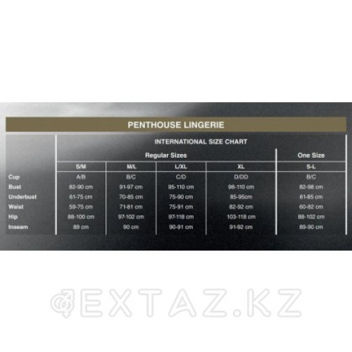 Комплект эротического белья "Smoking gun" от Penthouse (XL) черный (топ, чулки с поясом) в Казахстане, интернет-аптека Aurma.kz