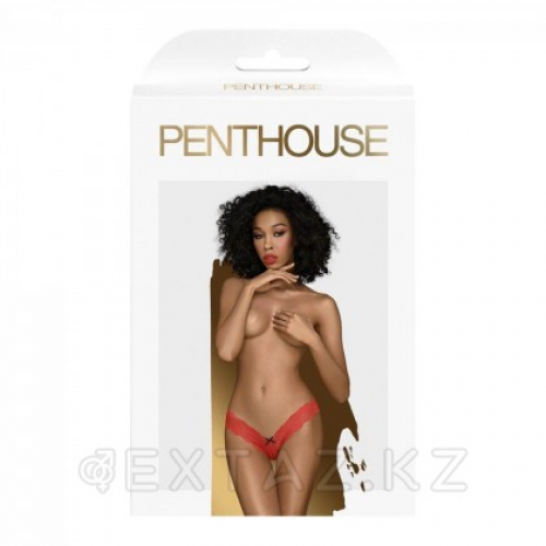 Стринги "Dangerous darling" от Penthouse (S/M) красные в Казахстане, интернет-аптека Aurma.kz