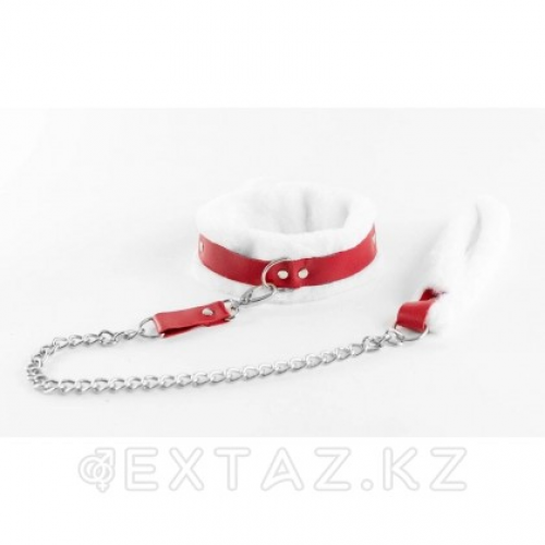 Ошейник из натуральной кожи с нежным мехом Red в Казахстане, интернет-аптека Aurma.kz